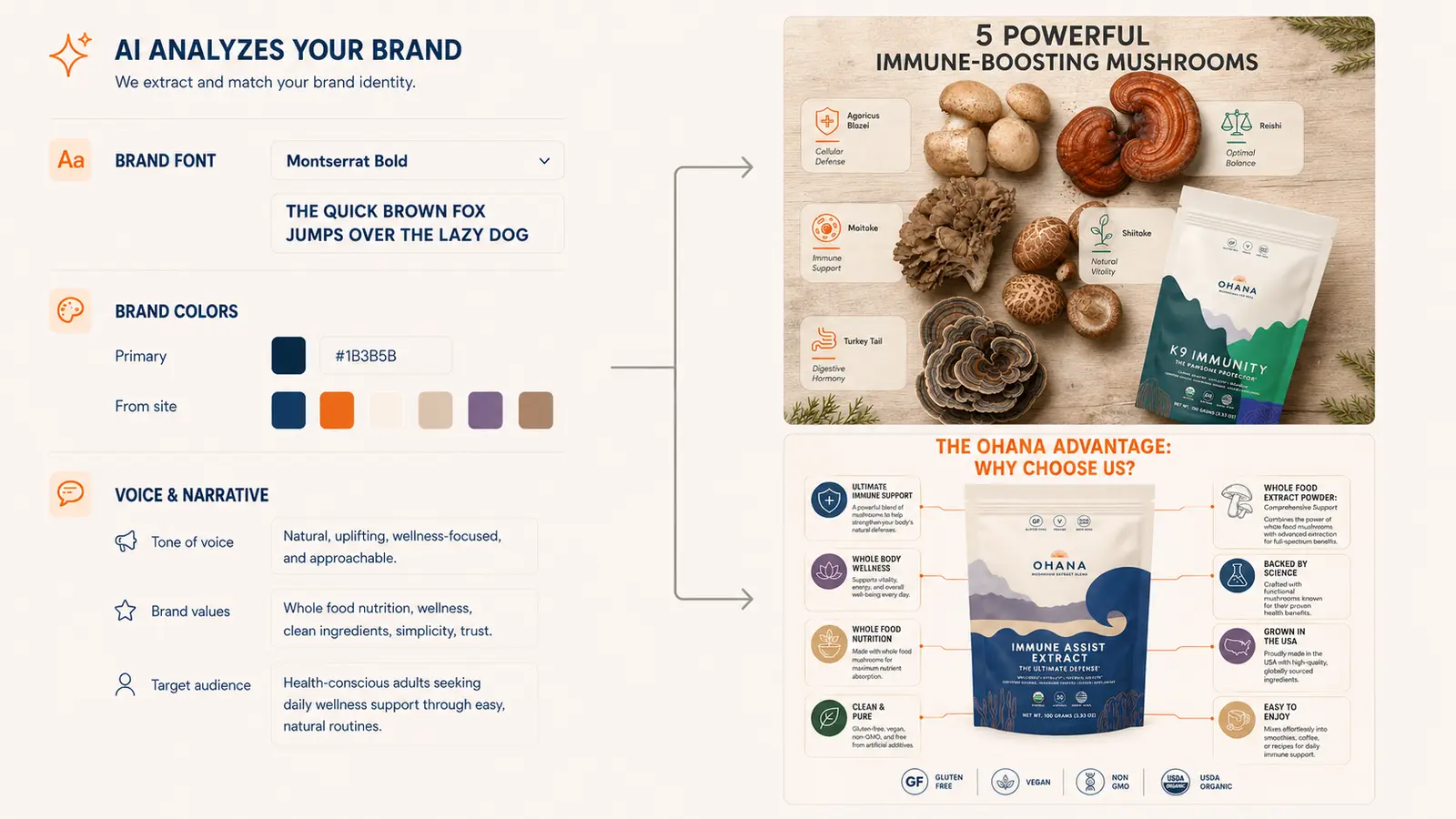AI Creative Studio analyzing a brand's fonts, colors, voice and target audience to generate on-brand product creatives