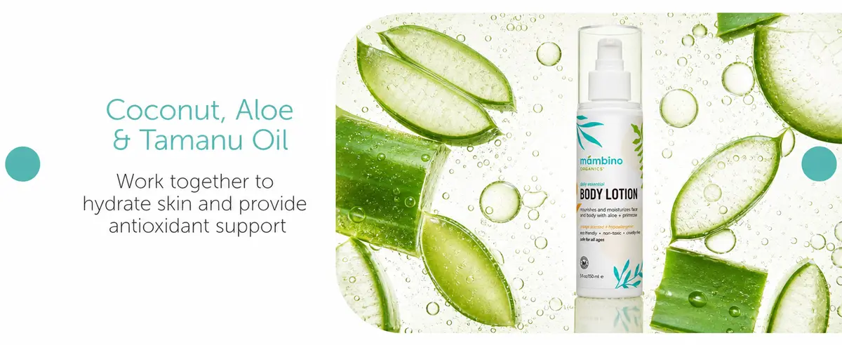 Body lotion with coconut, aloe and tamanu oil to hydrate skin, shown among fresh aloe leaves
